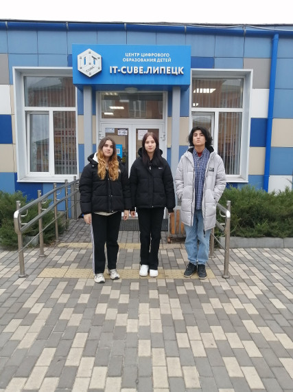 ПРОФЕССИОНАЛЬНЫЕ ПРОБЫ ПО НАПРАВЛЕНИЮ "ПРОГРАММИСТ".